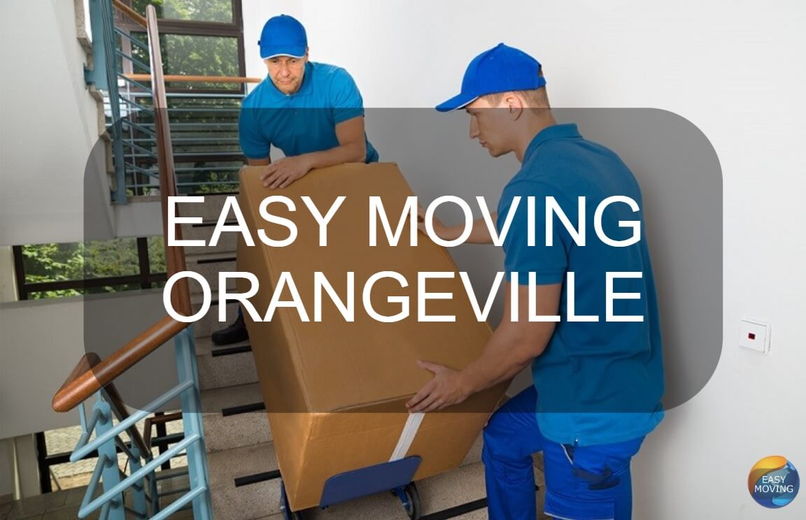 Easy Moving Company Orangeville