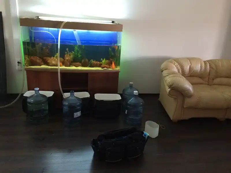 Large aquarium setup in Cambridge Ontario
