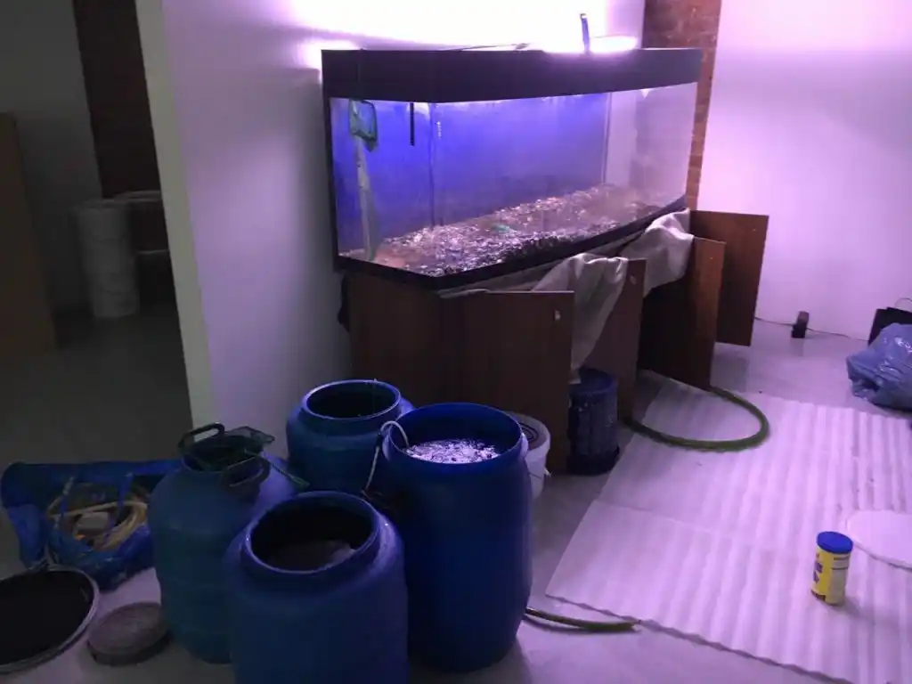 Local aquarium move in Mississauga
