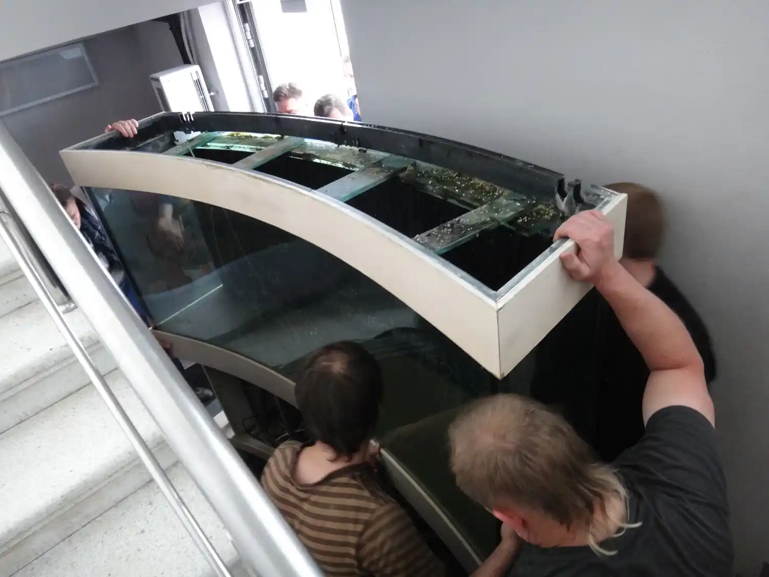 Large aquarium move from Vaughan to North York storage